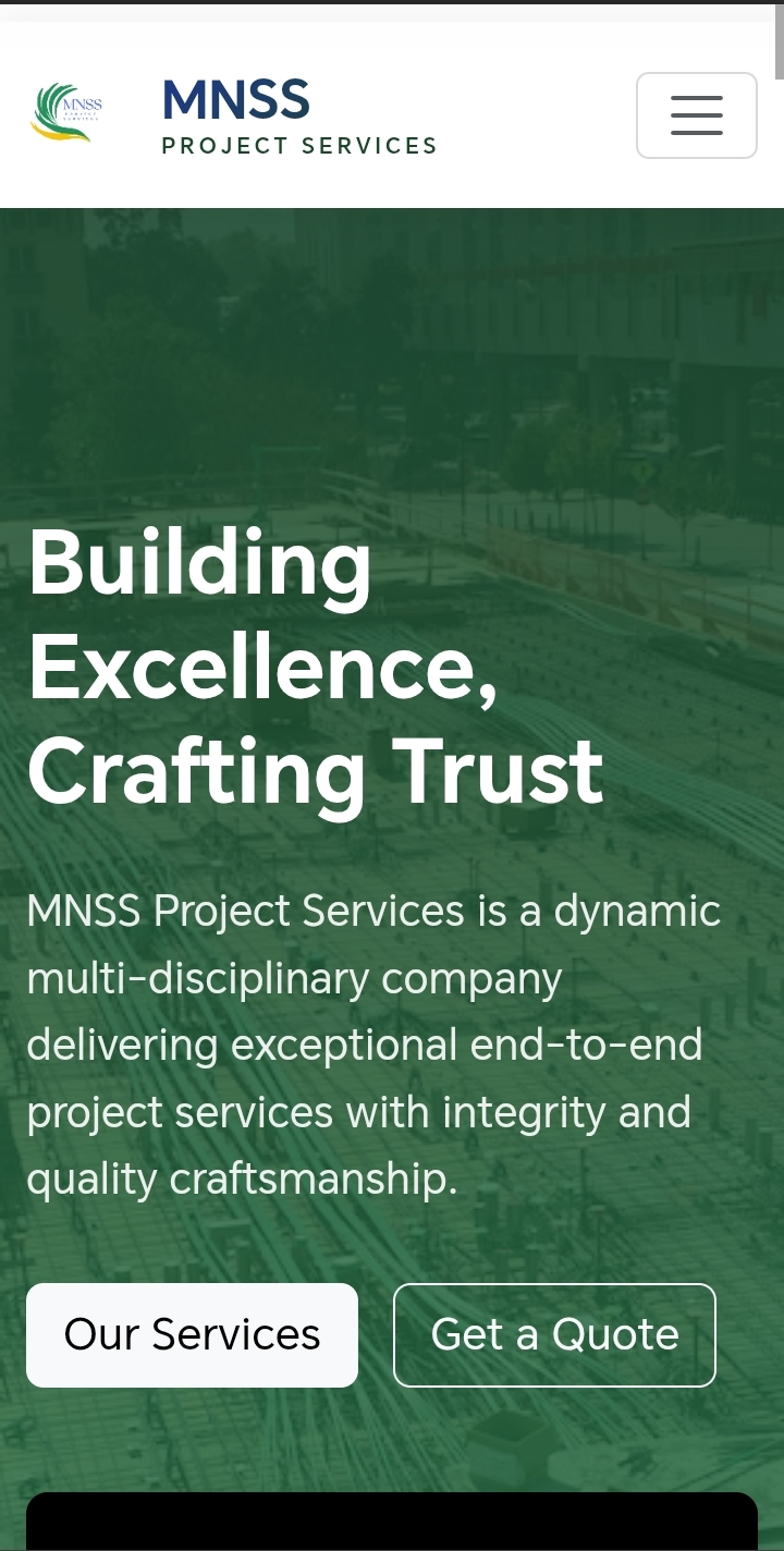  MNSS Project Services website screenshot